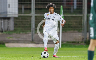 DSV Leoben vs. Voitsberg
