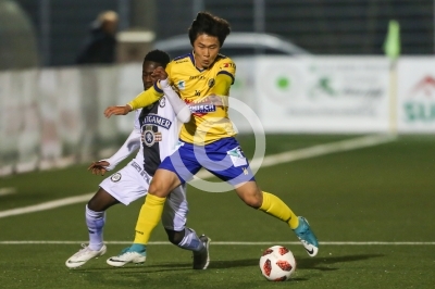 Deutschlandsberg vs. Sturm Graz Amateure