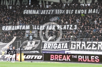 Sturm Graz vs. Austria Wien