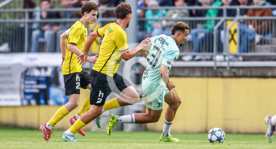 Allerheiligen vs. Eggendorf Hartberg Amateure