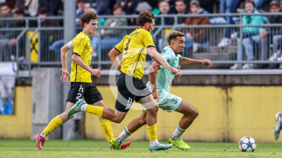 Allerheiligen vs. Eggendorf Hartberg Amateure