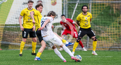 Allerheiligen vs. Wildon