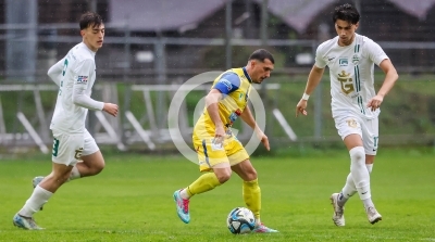 DSV Leoben vs. Deutschlandsberg