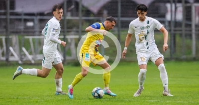 DSV Leoben vs. Deutschlandsberg