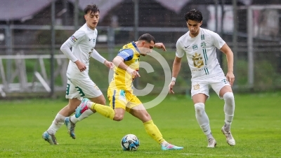 DSV Leoben vs. Deutschlandsberg