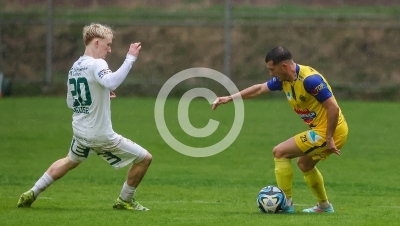 DSV Leoben vs. Deutschlandsberg