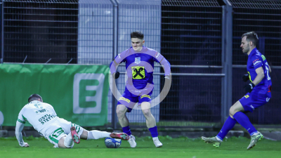 DSV Leoben vs. Fehring