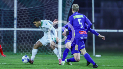 DSV Leoben vs. Fehring