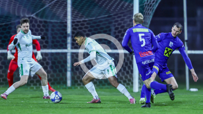 DSV Leoben vs. Fehring