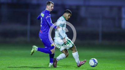 DSV Leoben vs. Fehring