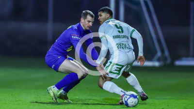 DSV Leoben vs. Fehring