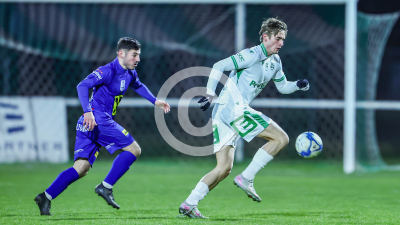 DSV Leoben vs. Fehring