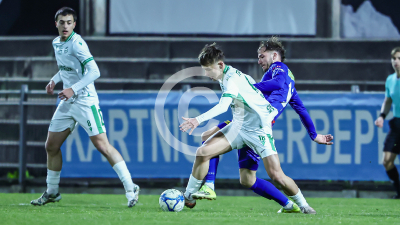 DSV Leoben vs. Fehring