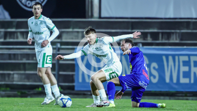 DSV Leoben vs. Fehring