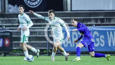 DSV Leoben vs. Fehring