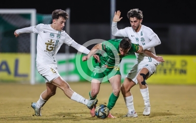 DSV Leoben vs. Gleisdorf