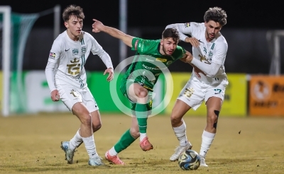 DSV Leoben vs. Gleisdorf