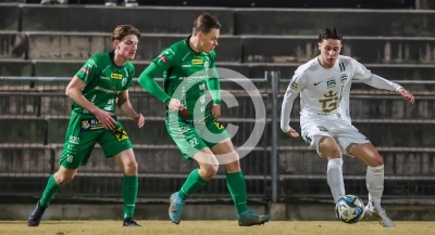 DSV Leoben vs. Gleisdorf