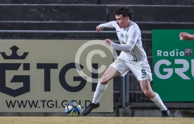 DSV Leoben vs. Gleisdorf
