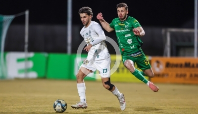 DSV Leoben vs. Gleisdorf