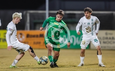 DSV Leoben vs. Gleisdorf
