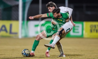 DSV Leoben vs. Gleisdorf