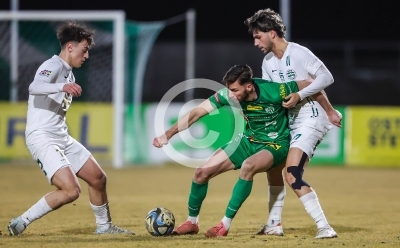 DSV Leoben vs. Gleisdorf