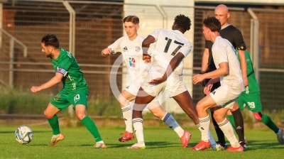 DSV Leoben vs. WAC Amateure