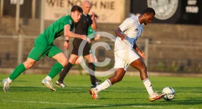 DSV Leoben vs. WAC Amateure