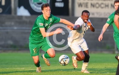 DSV Leoben vs. WAC Amateure