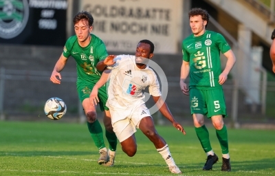 DSV Leoben vs. WAC Amateure