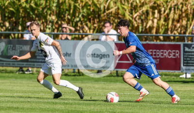 Eggendorf Hartberg Amateure vs. Wildon 