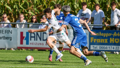 Eggendorf Hartberg Amateure vs. Wildon 