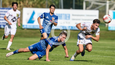 Eggendorf Hartberg Amateure vs. Wildon 