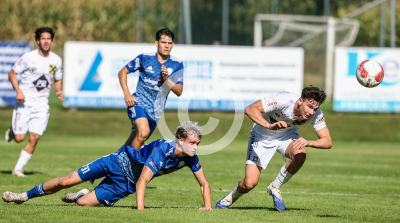 Eggendorf Hartberg Amateure vs. Wildon 