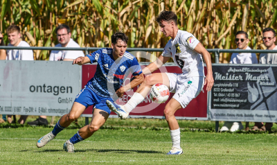 Eggendorf Hartberg Amateure vs. Wildon 