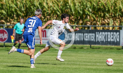 Eggendorf Hartberg Amateure vs. Wildon 