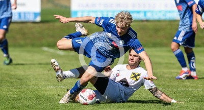 Eggendorf Hartberg Amateure vs. Wildon 