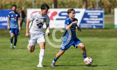 Eggendorf Hartberg Amateure vs. Wildon 