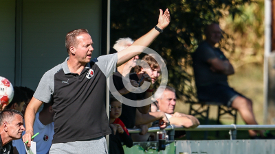 Eggendorf Hartberg Amateure vs. Wildon 