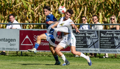 Eggendorf Hartberg Amateure vs. Wildon 