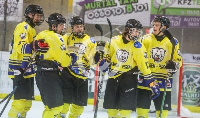 EV Zeltweg vs. Eisbaeren Peggau