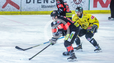 EV Zeltweg vs. Hornets Spittal