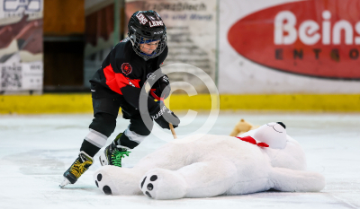 EV Zeltweg vs. LE Kings