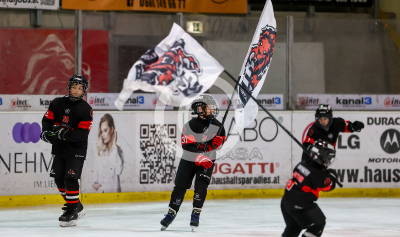 EV Zeltweg vs. LE Kings