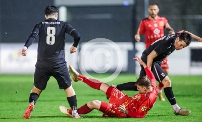 Fuerstenfeld vs. Frohnleiten