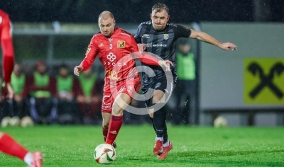 Fuerstenfeld vs. Frohnleiten