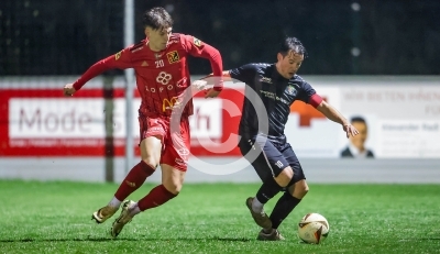 Fuerstenfeld vs. Frohnleiten