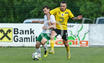 Gamlitz vs. Allerheiligen