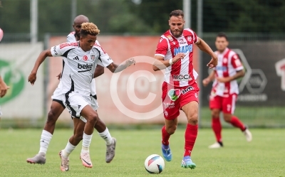 Grazer AK vs. Besiktas Istanbul